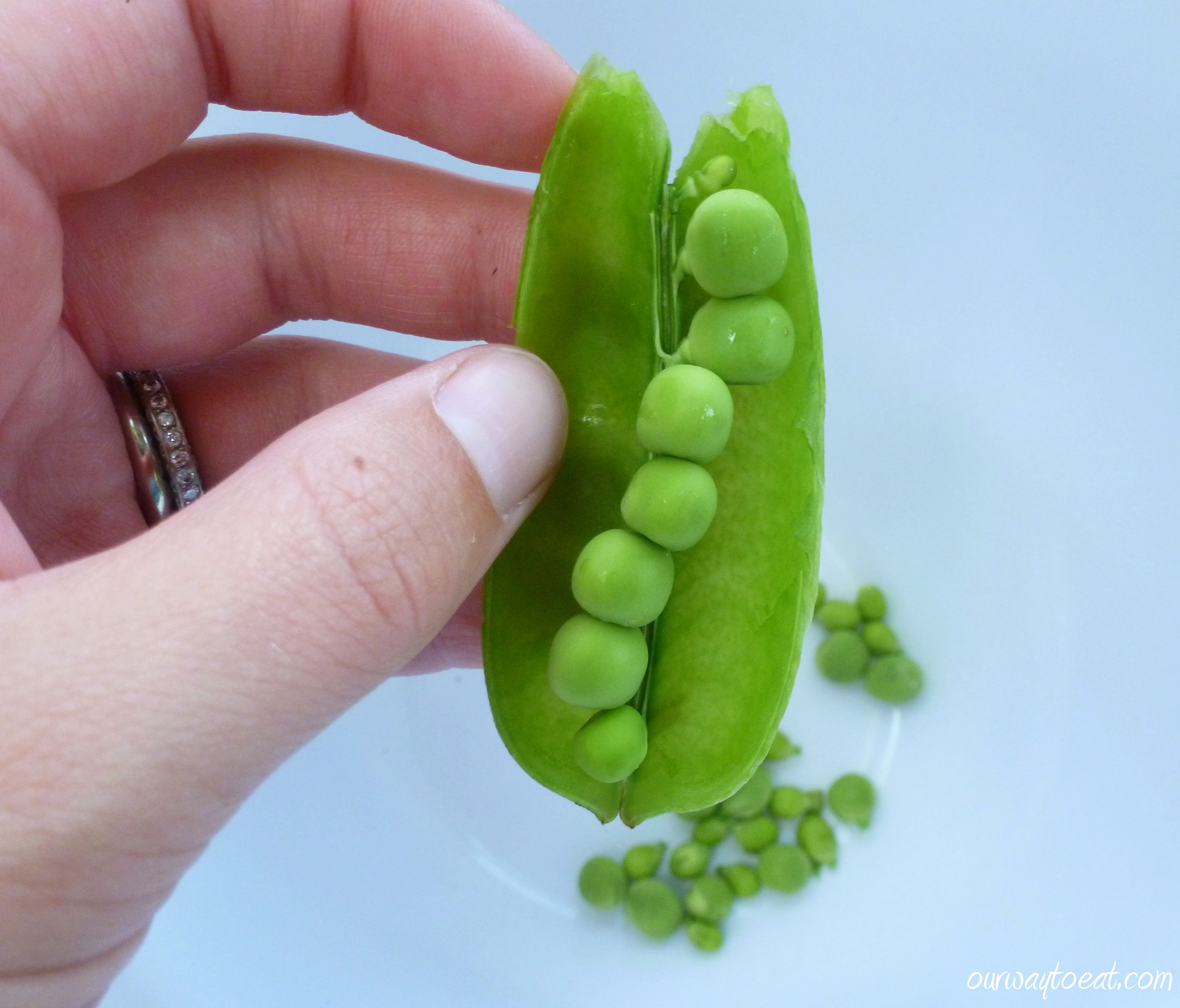 Mandilli de Saea al Pesto with Peas Our Way to Eat