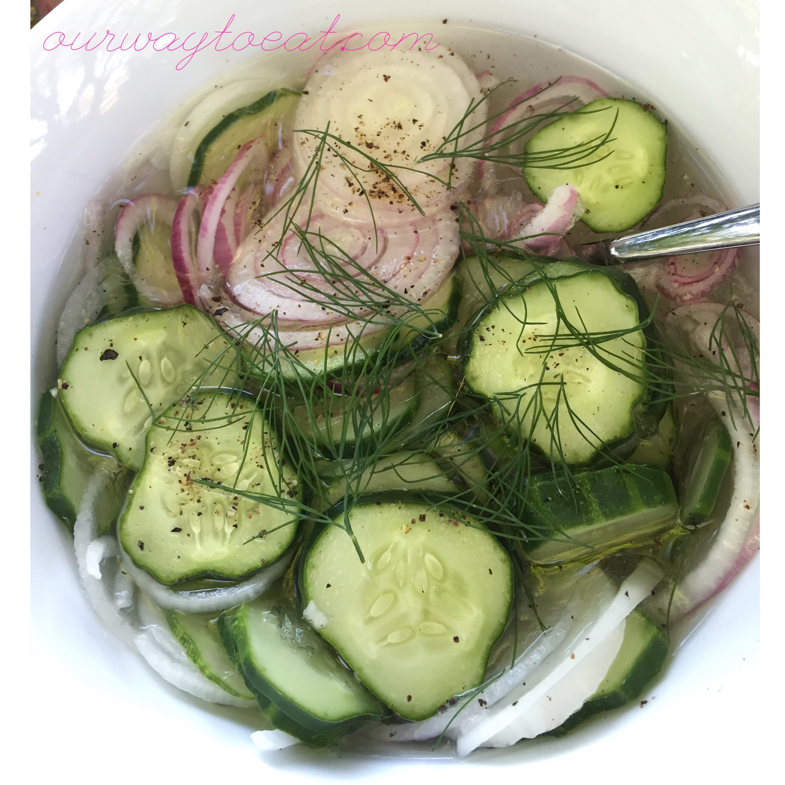 ourwaytoeat Cukes and opinions in vinegar